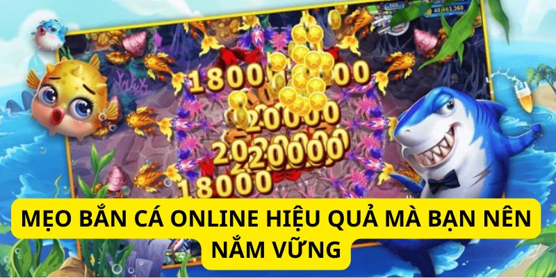 Một vài mẹo hiệu quả, áp dụng thành công dành cho tân binh