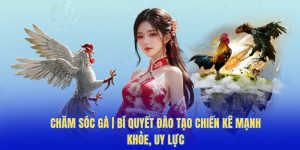 Chăm Sóc Gà - Bí Quyết Đào Tạo Chiến Kê Mạnh Khỏe, Uy Lực