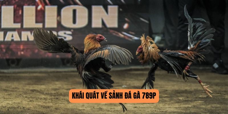 Khái quát về sảnh đá gà 789P