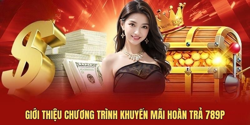 Giới thiệu sơ nét về chương trình hoàn trả