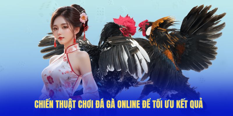 Những bí kíp cược đá gà trực tuyến giành phần thắng